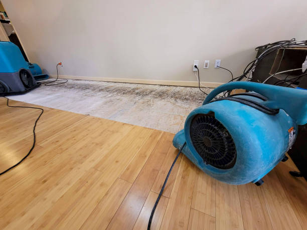 Professional Water Damage Repair technician working in Dallas, OR